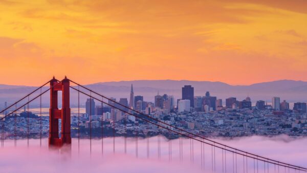 San Francisco - Greg Gutfeld City Updates