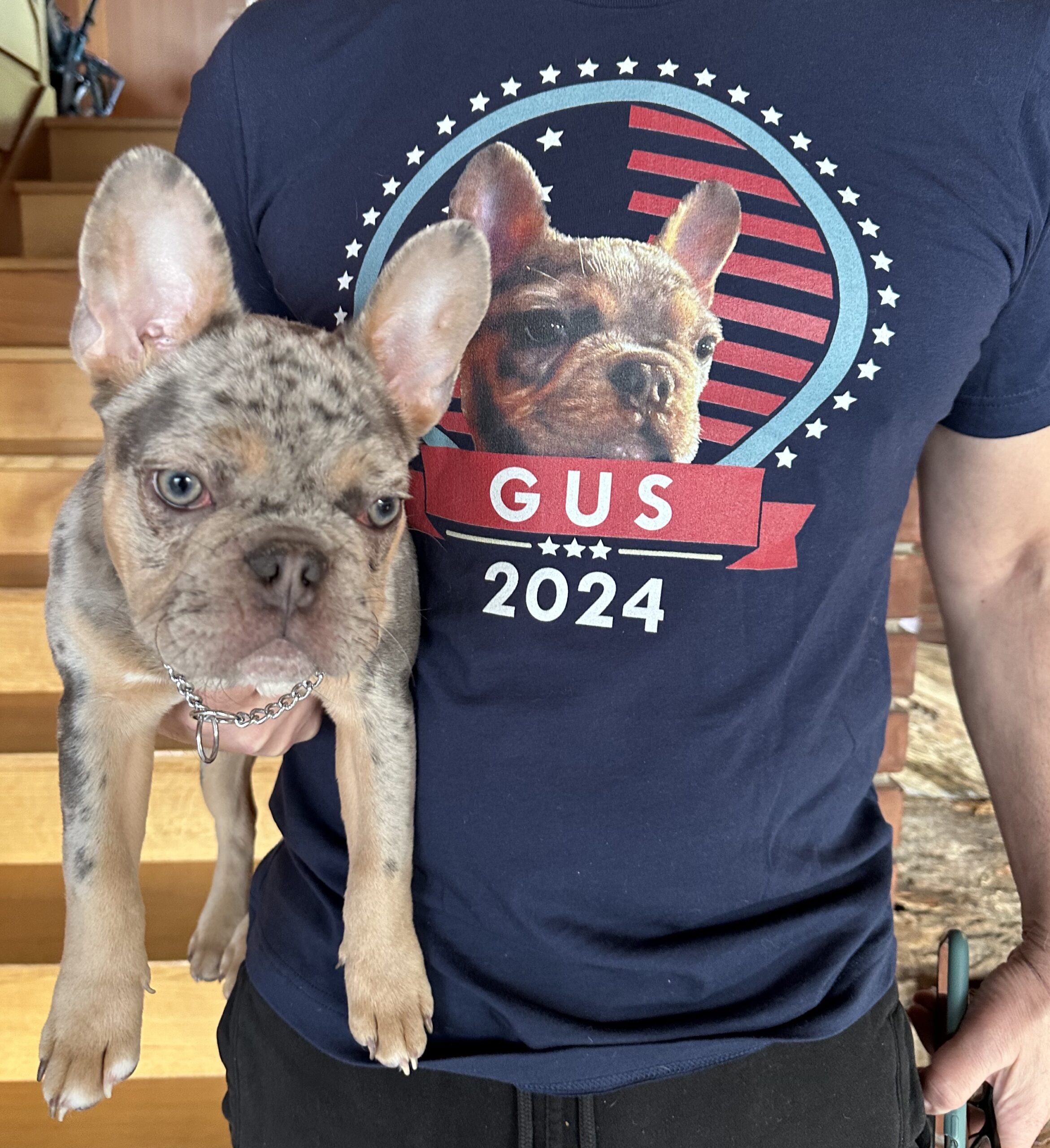 Promoting Others New T shirt Designs Greg Gutfeld